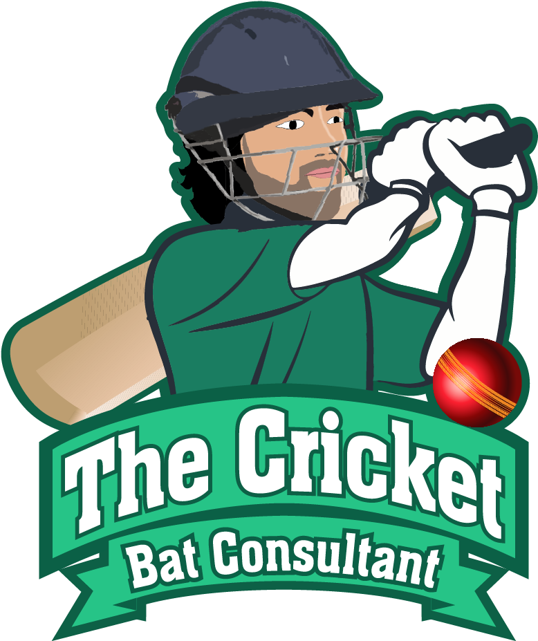 The Cricket Bat Consultant - College Softball (1001x1000), Png Download