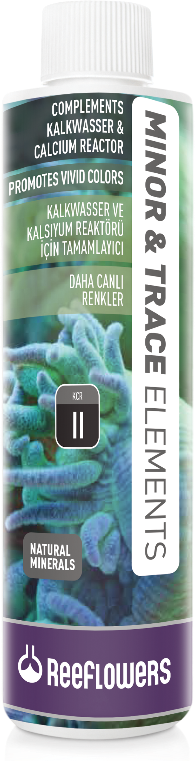 Special Formulas - Insect (2000x2600), Png Download