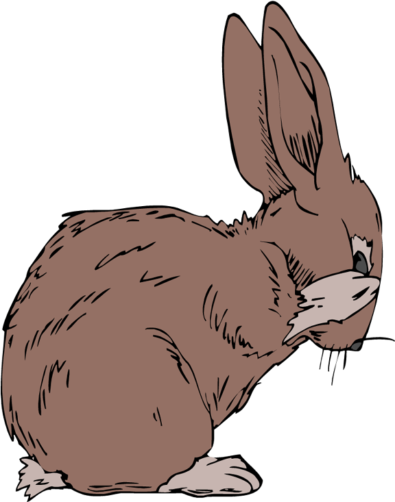 Jack Rabbit Clipart Black And White - Jackrabbit Clipart (585x750), Png Download