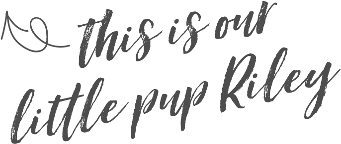 This Is Riley - Calligraphy (900x400), Png Download