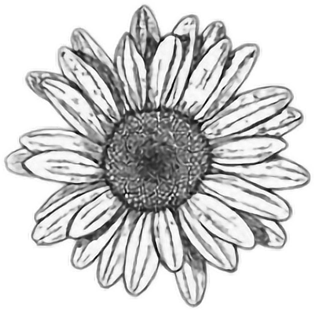 Tumblr Sticker - Black And White Hydro Flask Stickers (1024x1011), Png Download