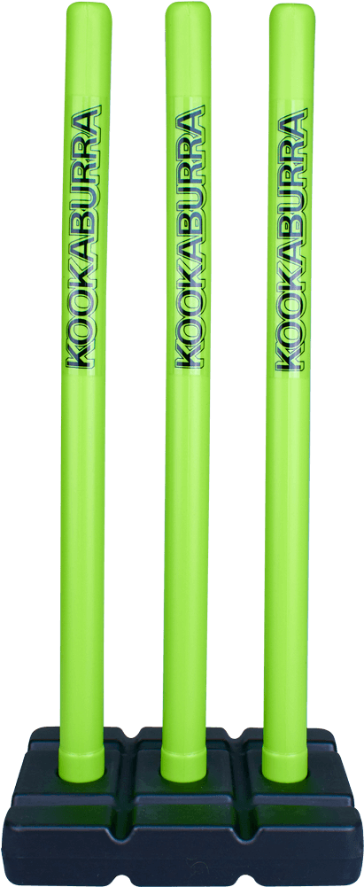 Stump Set - Stump (1000x1000), Png Download