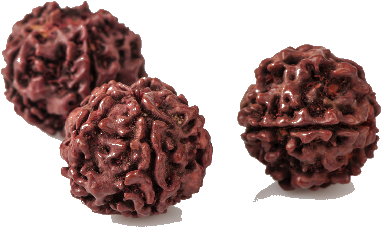 Sacred Rudraksha - Cake (1000x664), Png Download