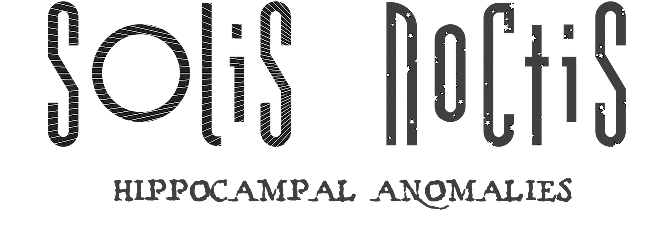 Solis Noctis Hippocampal Anomalies - Aeropostale (1390x476), Png Download