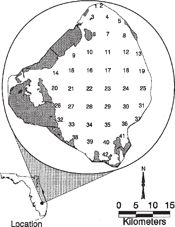 Map Of Lake Okeechobee, Florida, Usa, Showing The Locations - Drawing (654x822), Png Download