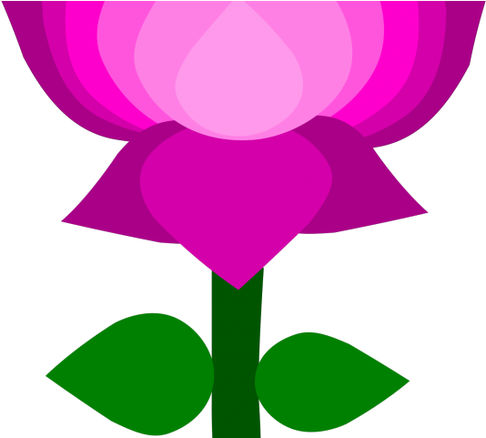 Lotus Clipart Bjp - Clip Art Of Lotus (640x480), Png Download