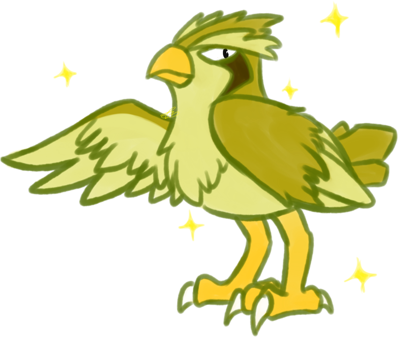 I've Never Drawn A Pidgey Before And The Longer- - Parrot (800x800), Png Download
