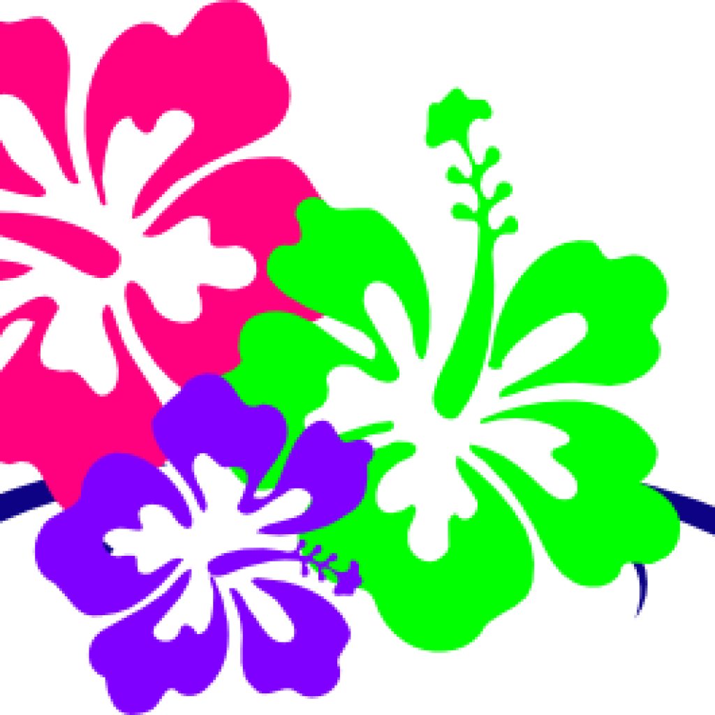 Hawaiian Flower Clipart Hawaiian Flower Clip Art Borders Hawaiian Flowers Png Border