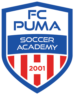 Fc Puma Has A New Logo - Emblem (960x375), Png Download