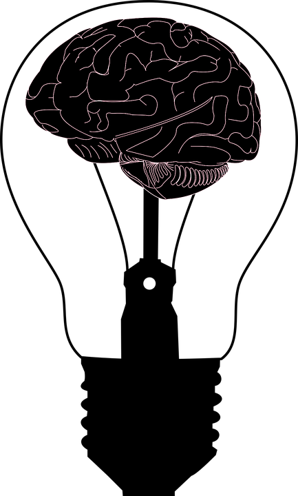 Brain Think Psychology A I Ai - Clip Art (433x720), Png Download
