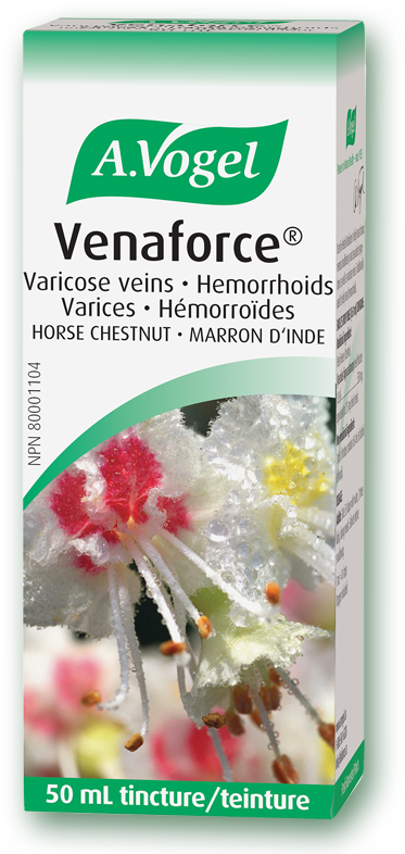 Extract Of Fresh Horse Chestnut Seed Tincture - Vogel Horse Chestnut (800x800), Png Download