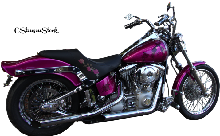 Pink Harley Davidson Png (800x564), Png Download