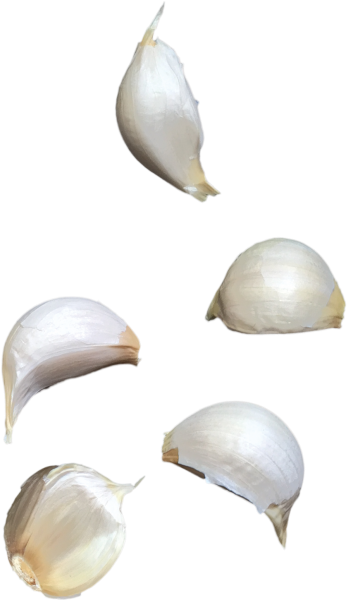 Garlic (866x650), Png Download