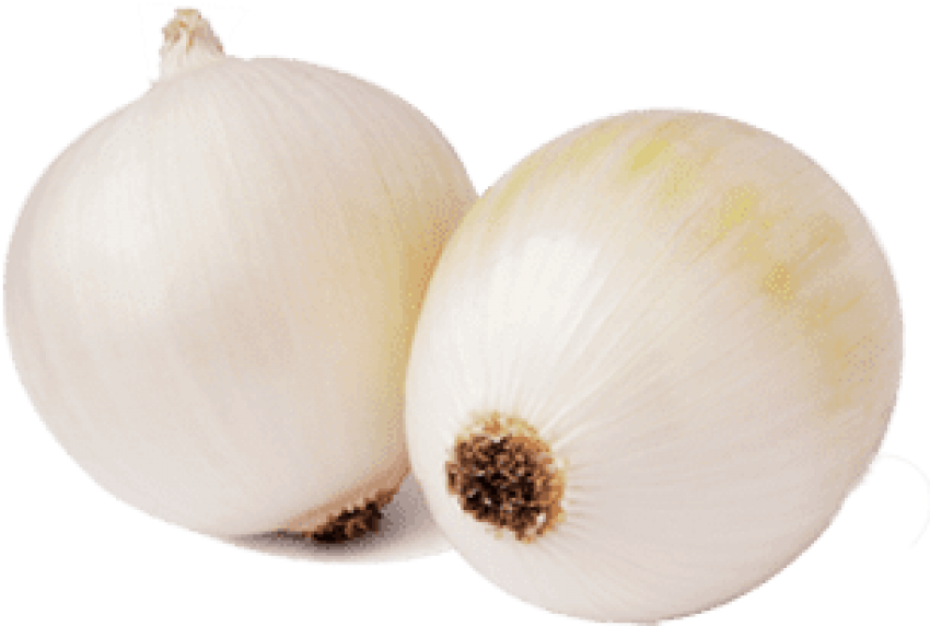 Free Png Download Elephant Garlic Png Images Background - Elephant Garlic (850x572), Png Download