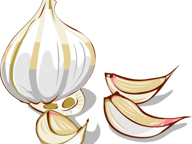 Garlic Clipart Garlic Clove - Clove Of Garlic Clipart (640x480), Png Download
