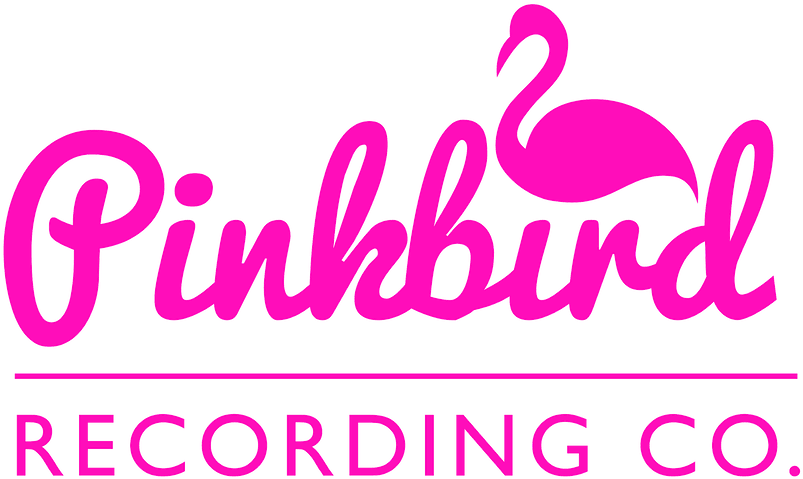 Pinkbird Recording Co - Calligraphy (900x561), Png Download