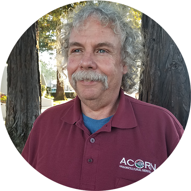 Acorn Arboricultural Services - Senior Citizen (678x678), Png Download