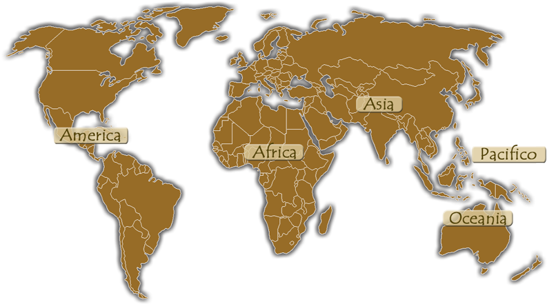 World Map (800x500), Png Download