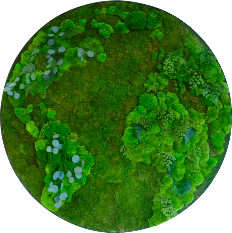 Mapa Mundi - Circle (796x800), Png Download