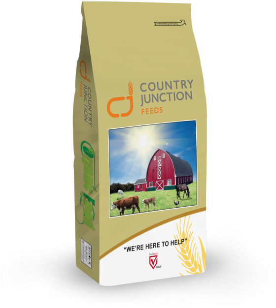 23% Organic Backyard Turkey Starter - African Grey (768x713), Png Download