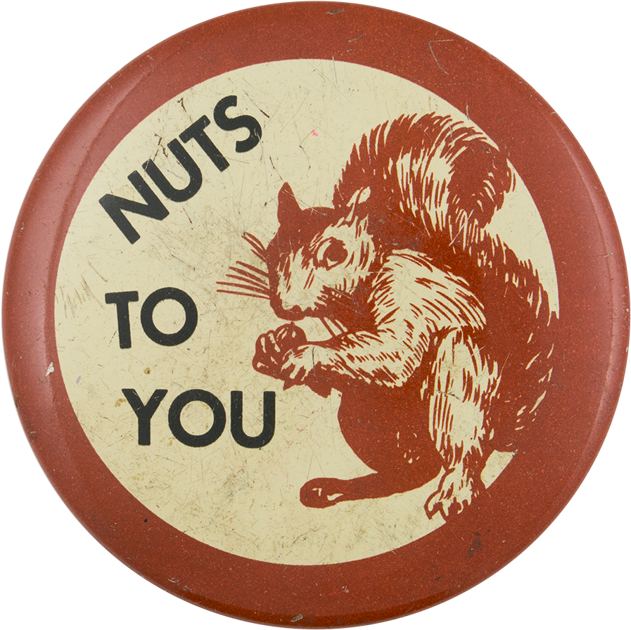 Nuts To You Social Lubricator Button Museum - Eurasian Red Squirrel (1000x974), Png Download