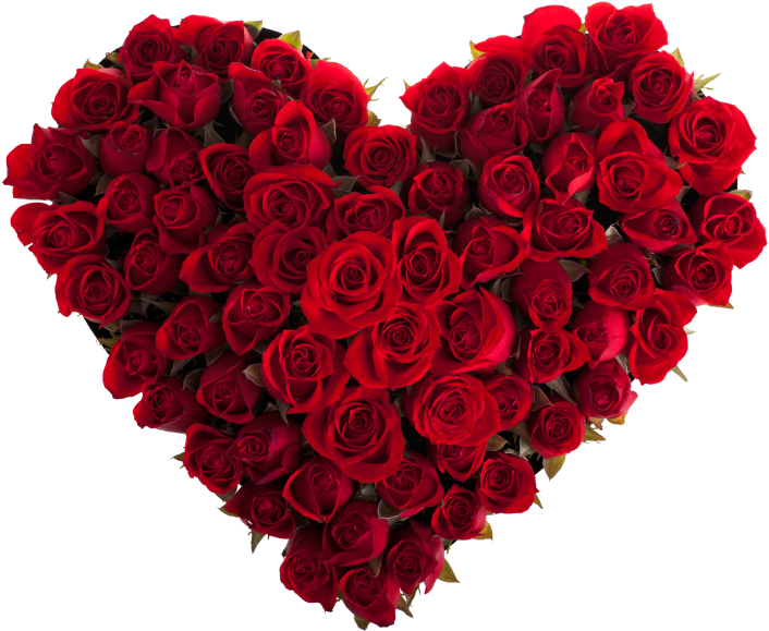 Heart With Red Roses - Heart Flower Rose (866x650), Png Download