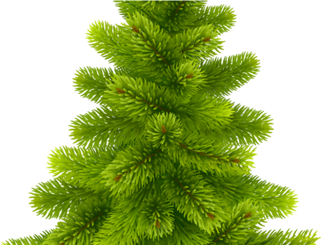 Christmas Ribbon Clipart Pine - Christmas Tree Clipart Vector Free (640x480), Png Download