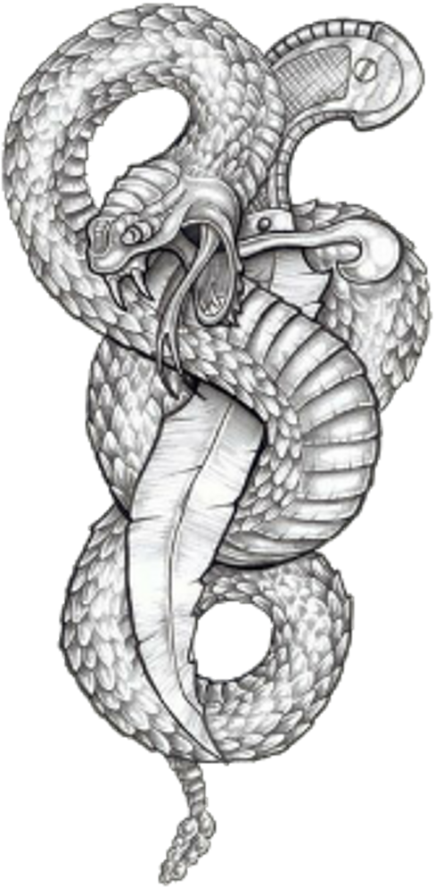 Snake Snaketattoo Snakes Animal Animals Wildanimals - Tattoo Designs Snake And Dagger (1024x1024), Png Download