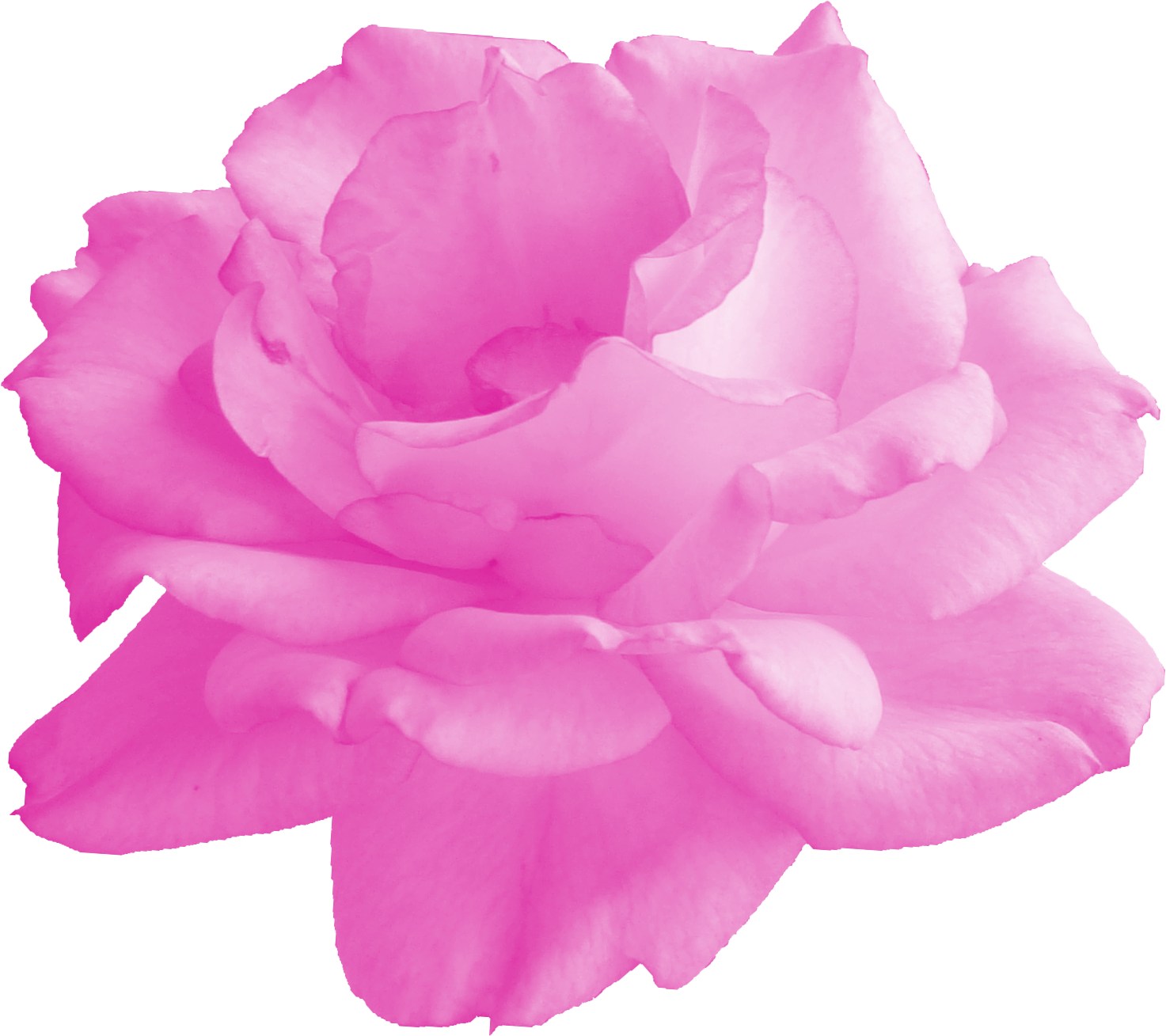 Png File Size - Floribunda (1024x910), Png Download