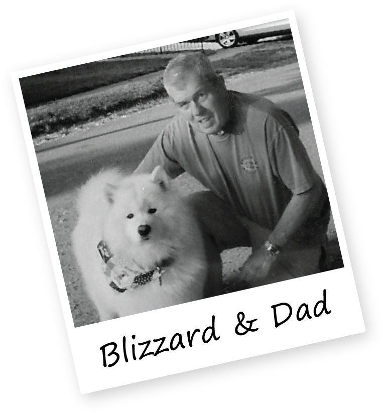 Pet Sitting Stoneham Ma - Pomeranian (800x857), Png Download