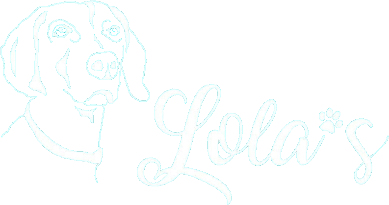 Dj Titi (802x425), Png Download