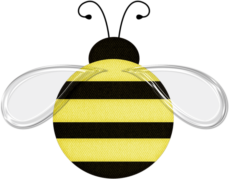 Photo By @martamota - Honeybee (800x639), Png Download