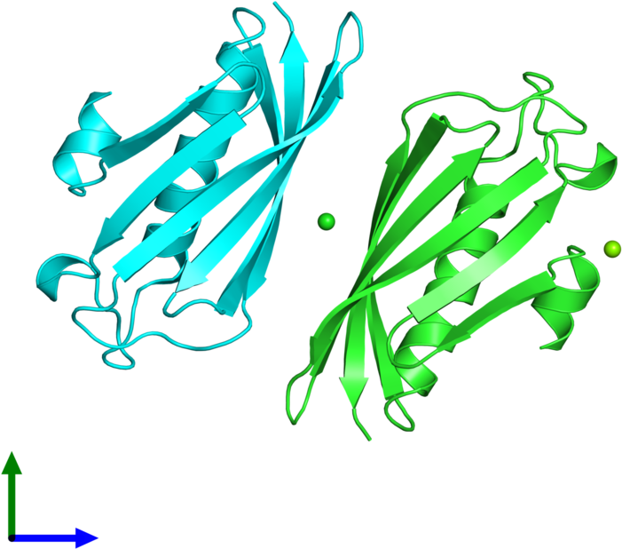 Pdb 2dsl Coloured By Chain And Viewed From The Front - Illustration (800x800), Png Download