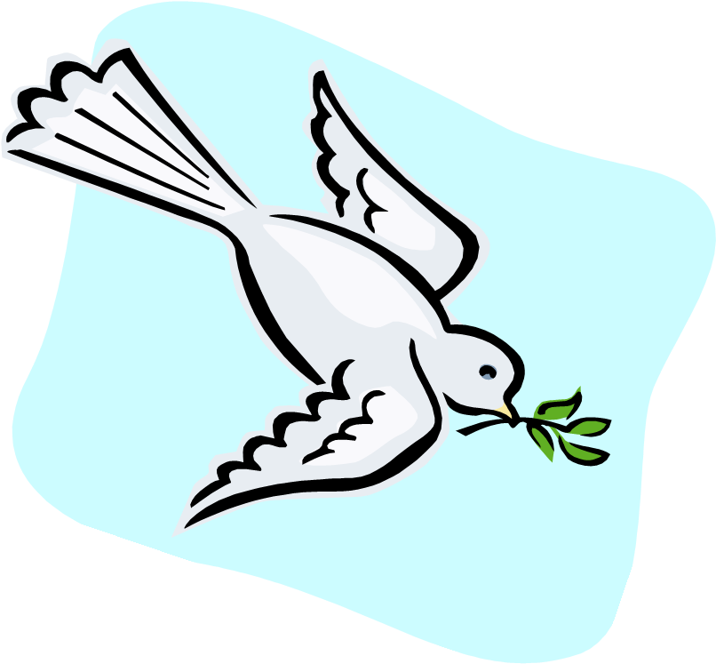 Dove - Pigeons And Doves (983x844), Png Download
