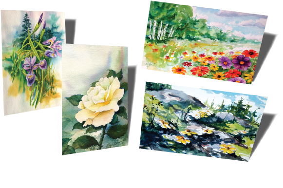 Common Peony (612x402), Png Download