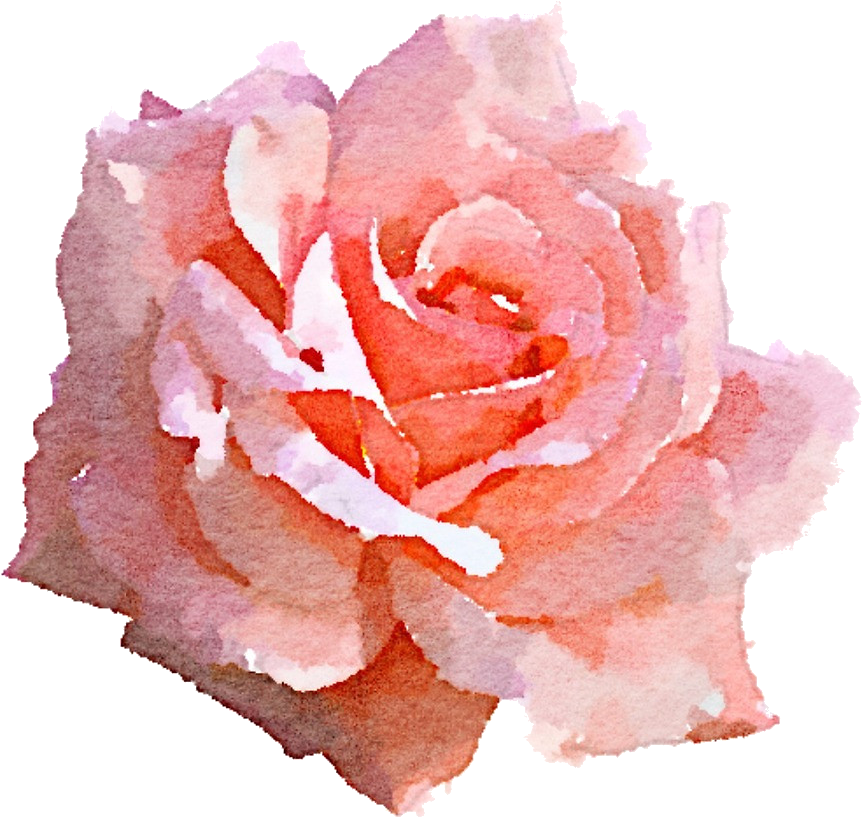 Pink Rose Png - Pink Roses Watercolor Png (958x1000), Png Download
