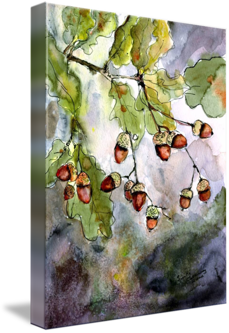 #acorn Watercolor By Ginette Callaway - Watercolor Of Oak Tree Leaves (447x650), Png Download