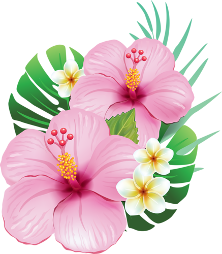 Vector Free Cc Cd B F A L - Hibiscus Flowers (437x500), Png Download