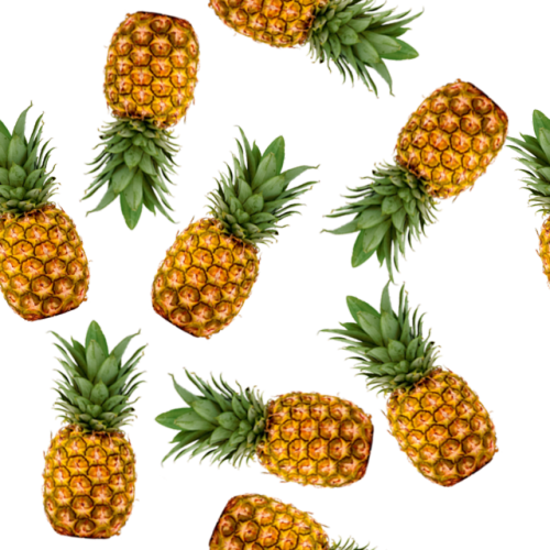 Pineapple Png Tumblr Black And White - Pineapple Transparent (500x500), Png Download