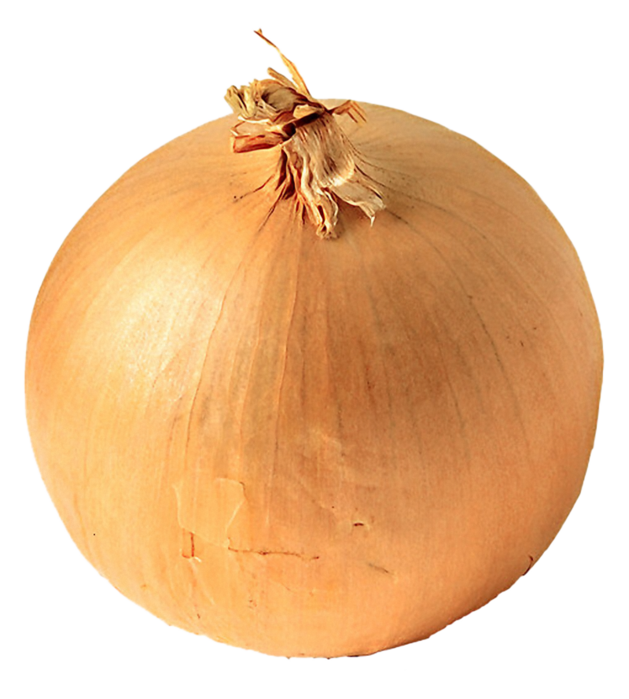 Onion Png Image, Free Download Picture - Onion Transparent (629x699), Png Download