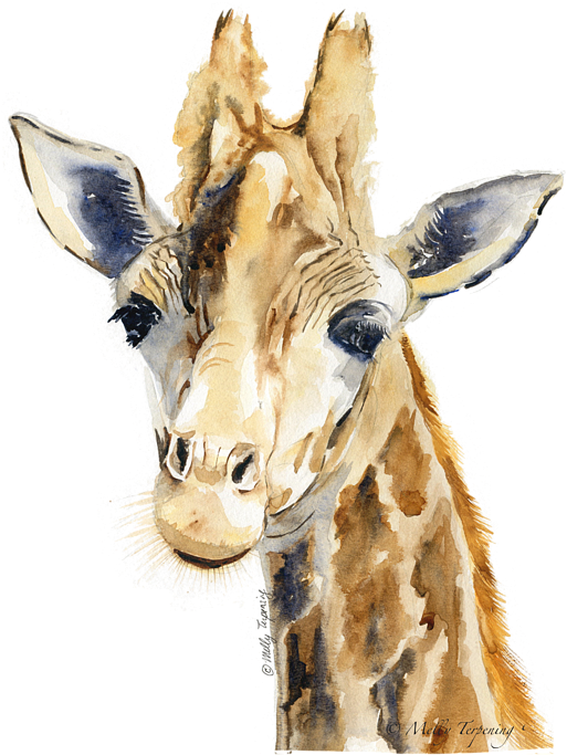 Bleed Area May Not Be Visible - Giraffe Watercolor (539x700), Png Download