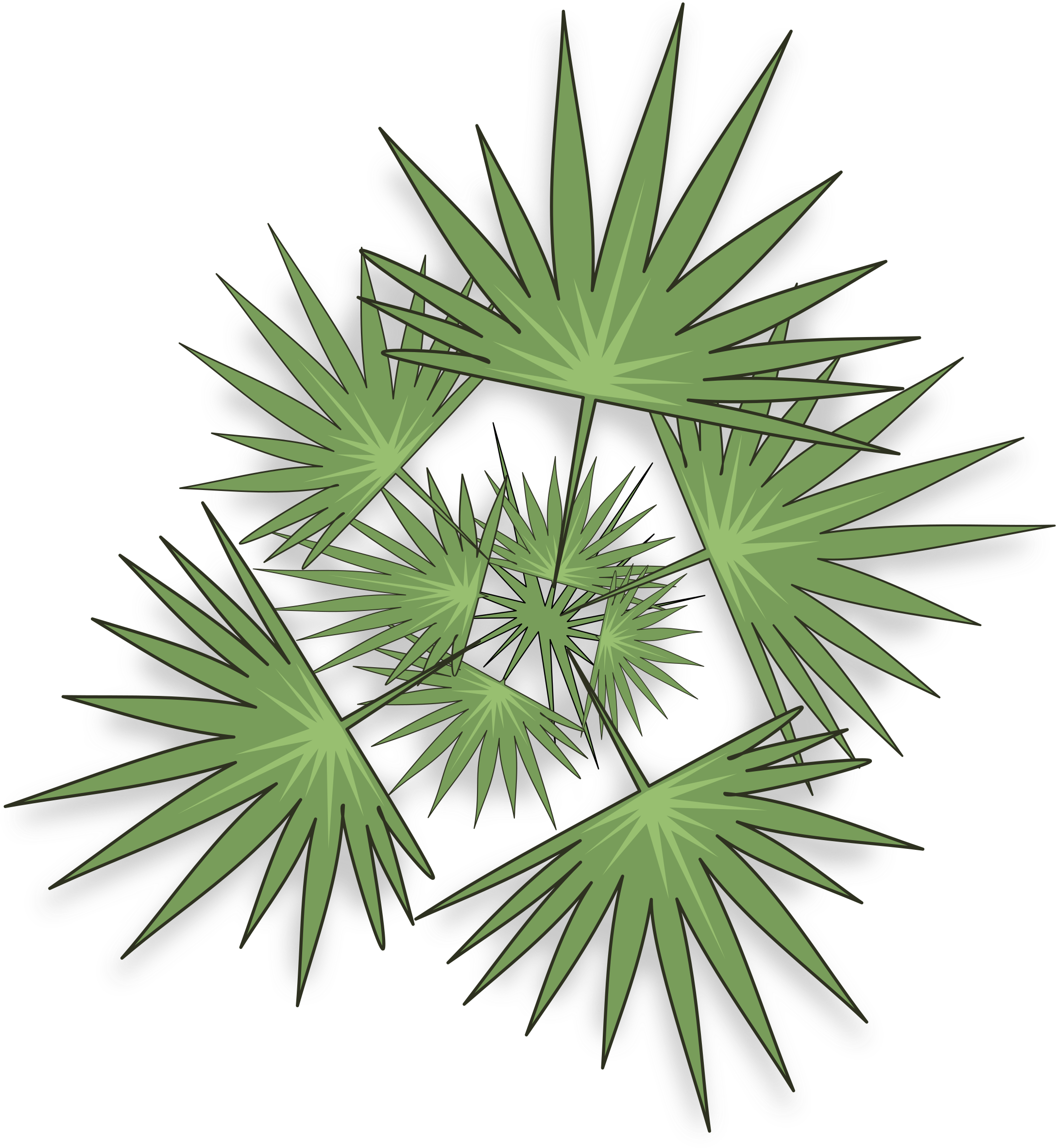 Palm Trees (800x800), Png Download