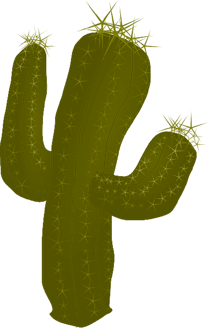 Mb Image/png - Cactus Desert Food Chain (800x1257), Png Download