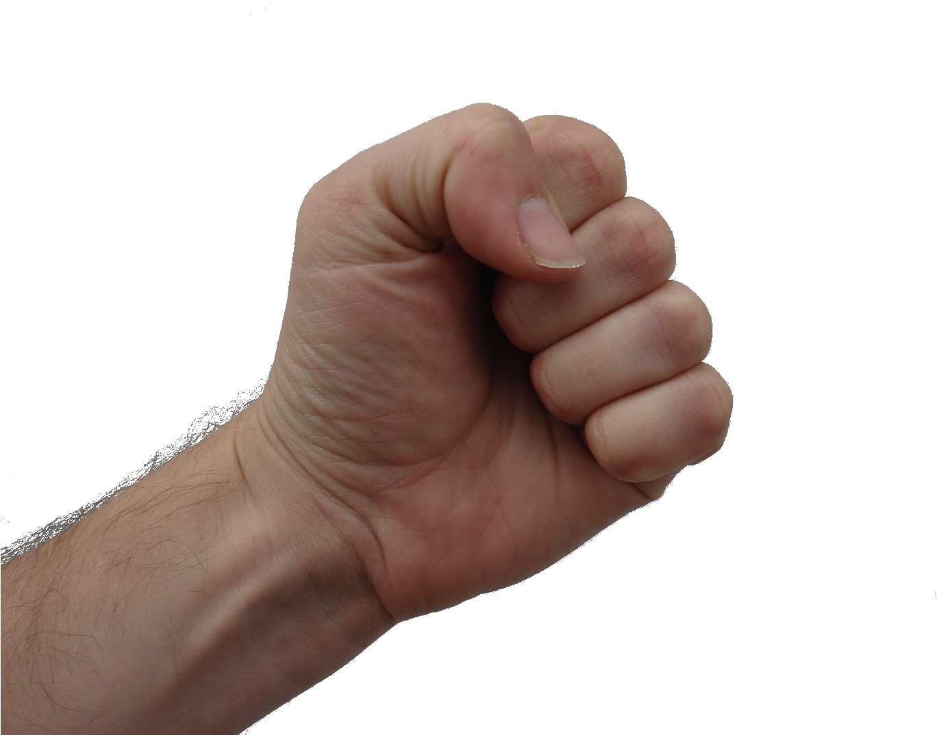 Arm Fist Png - Human Fist Png (1632x1224), Png Download