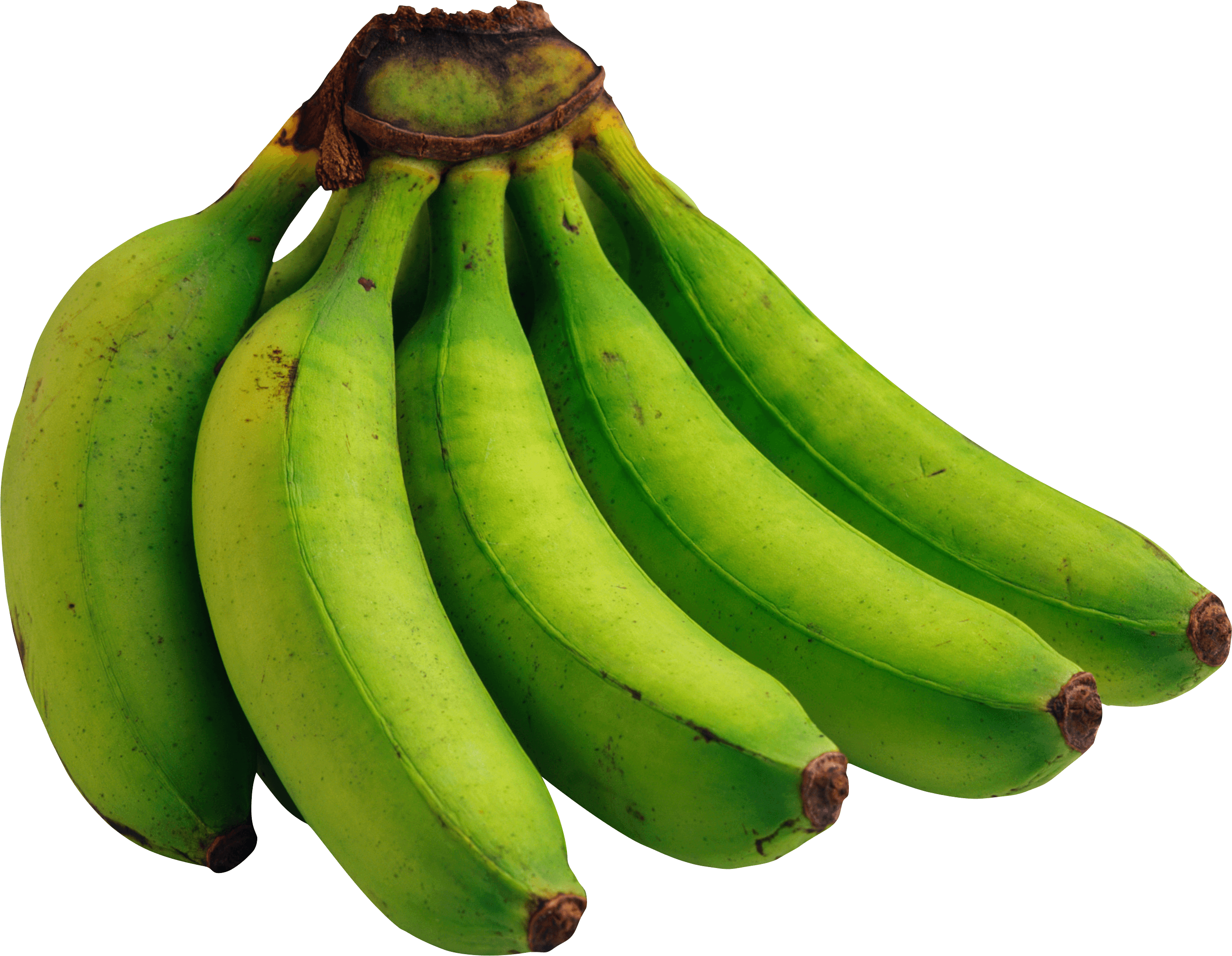 Green Bananas Png Image Picture - Green Banana Png (1024x795), Png Download