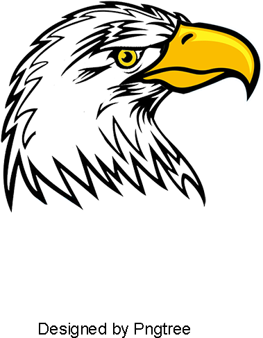 Printed Owl, T-shirt Printing, Prints, Vector Printing - Clip Art (800x800), Png Download