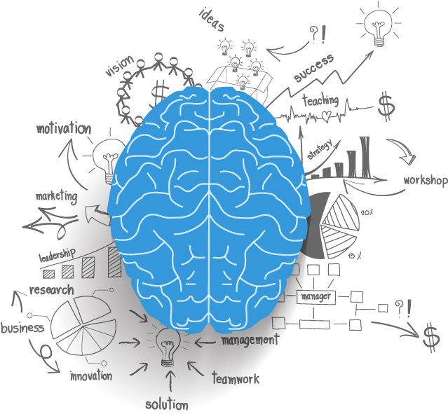 Brain - Persuasion: The Science Of Selling (728x595), Png Download