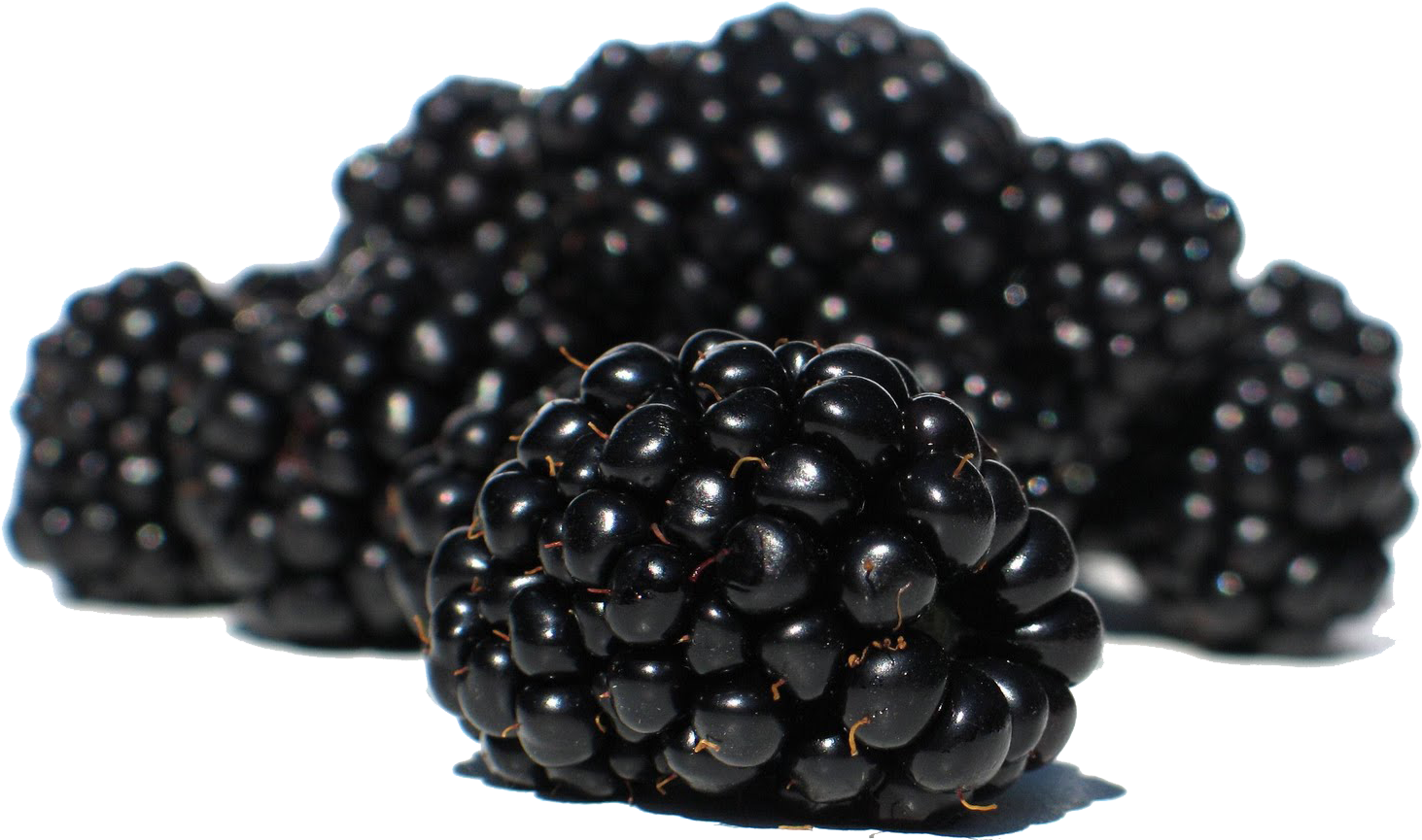 Blackberry Fruit Png (1600x1200), Png Download