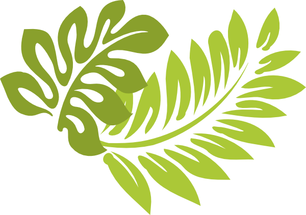 Palm Tree Leaf Png Clip Art - Hibiscus Clip Art (600x422), Png Download