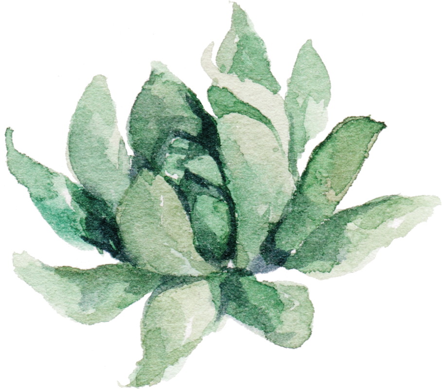 Clipart Free Transparent Succulent Watercolor - Aztec Fabric - 8" She Is Fierce Floral Stripes Peach (943x824), Png Download